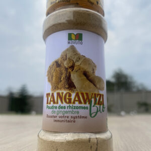 Tangawizi bio