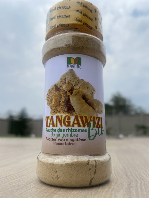 Tangawizi bio